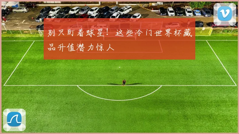 别只盯着球星！这些冷门世界杯藏品升值潜力惊人